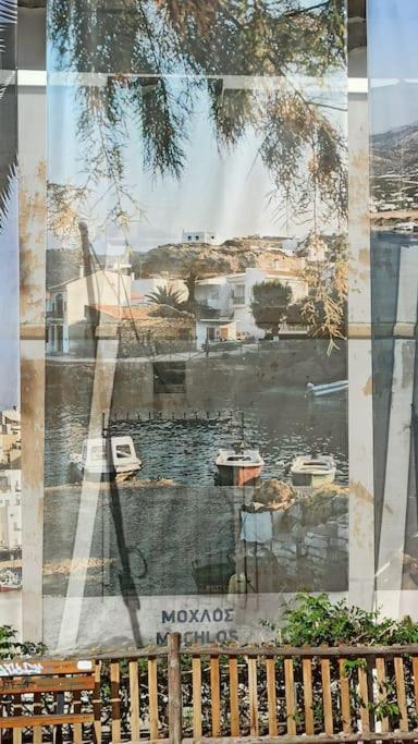 Seashell Apartment Sea View, Castle View 200Metres From The Beach シティア エクステリア 写真